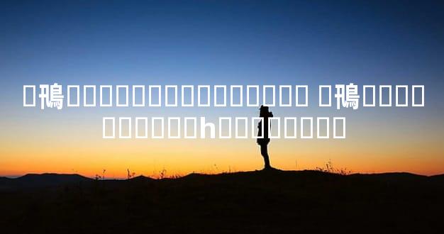 �鳵�������޼۸������ �鳵�������޼۸�һ��������